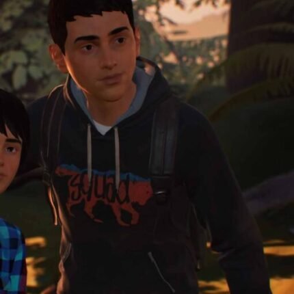 Sean Diaz Life Is Strange 2 Game Grayish Blue Hoodie