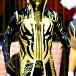 Dustin Patrick Runnels Goldust Golden Coat