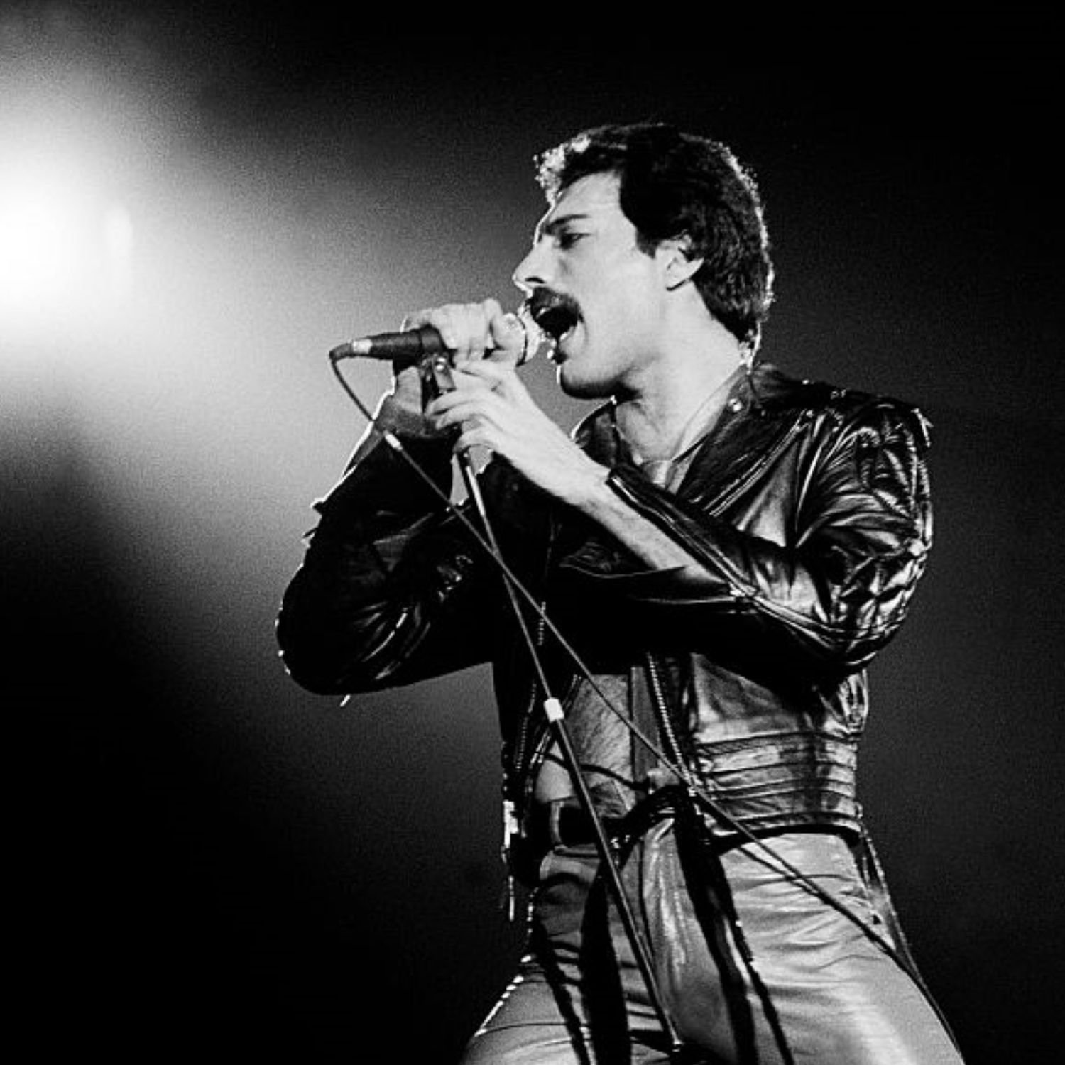 Freddie Mercury Motorcycle Jacket Freddie Mercury Motorcycle Jacket