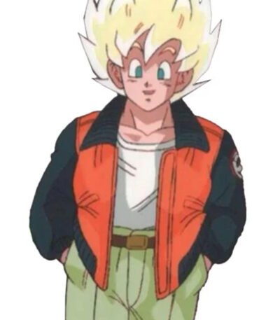 Goku 59 Dragon Ball Z Orange Jacket