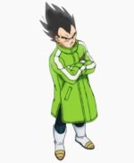 Goku And Vegeta Sab Jacket
