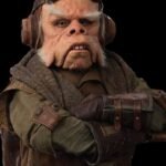 Kuiil The Mandalorian Brown Vest