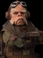 Kuiil The Mandalorian Brown Vest