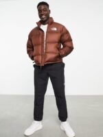 North Face Brown Puffer Jacket