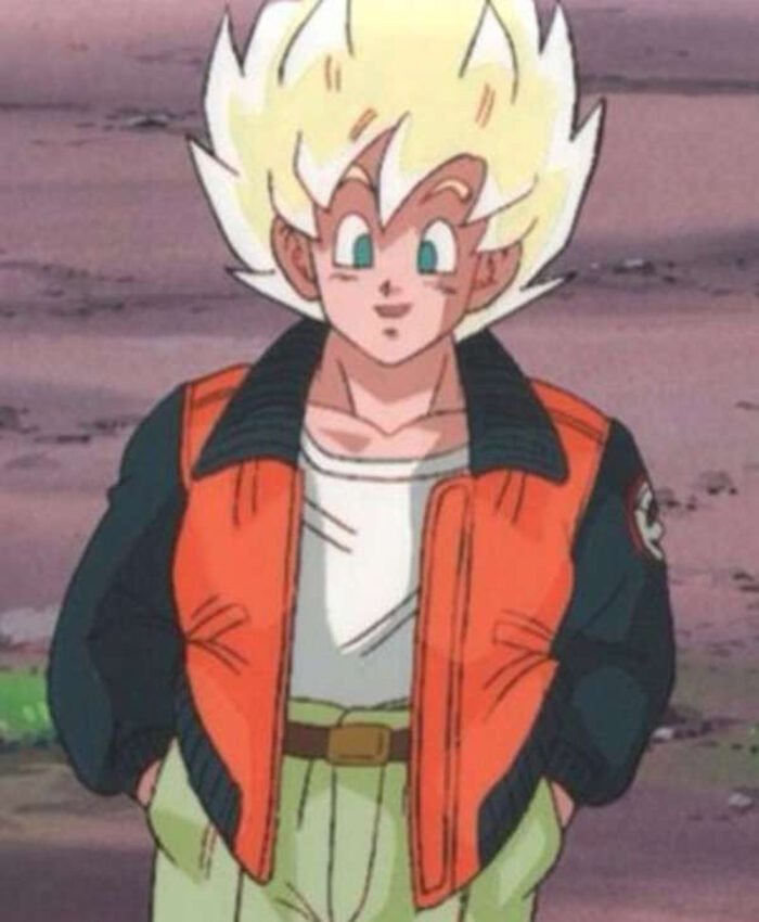 Son Goku Dragon Ball Z Orange Jacket