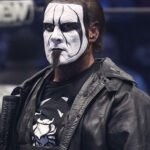 Steve Borden WWE Sting Long Coat