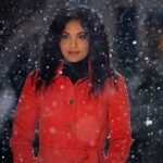 The Noel Diary Barrett Doss Red Coat