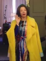 Yeom Hye-Ran The Uncanny Counter Yellow Fur Coat