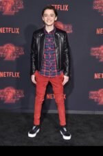Noah Schnapp Brown Stranger Things Season 2 Premiere