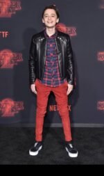 Noah Schnapp Brown Stranger Things Season 2 Premiere