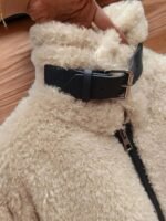 Premium Women's wool jacket White