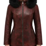 Monica Maroon Distressed Leather Fur Hooded Jacket