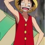 Luffy Vest