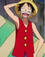 Luffy Vest