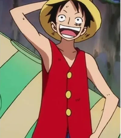 Luffy Vest