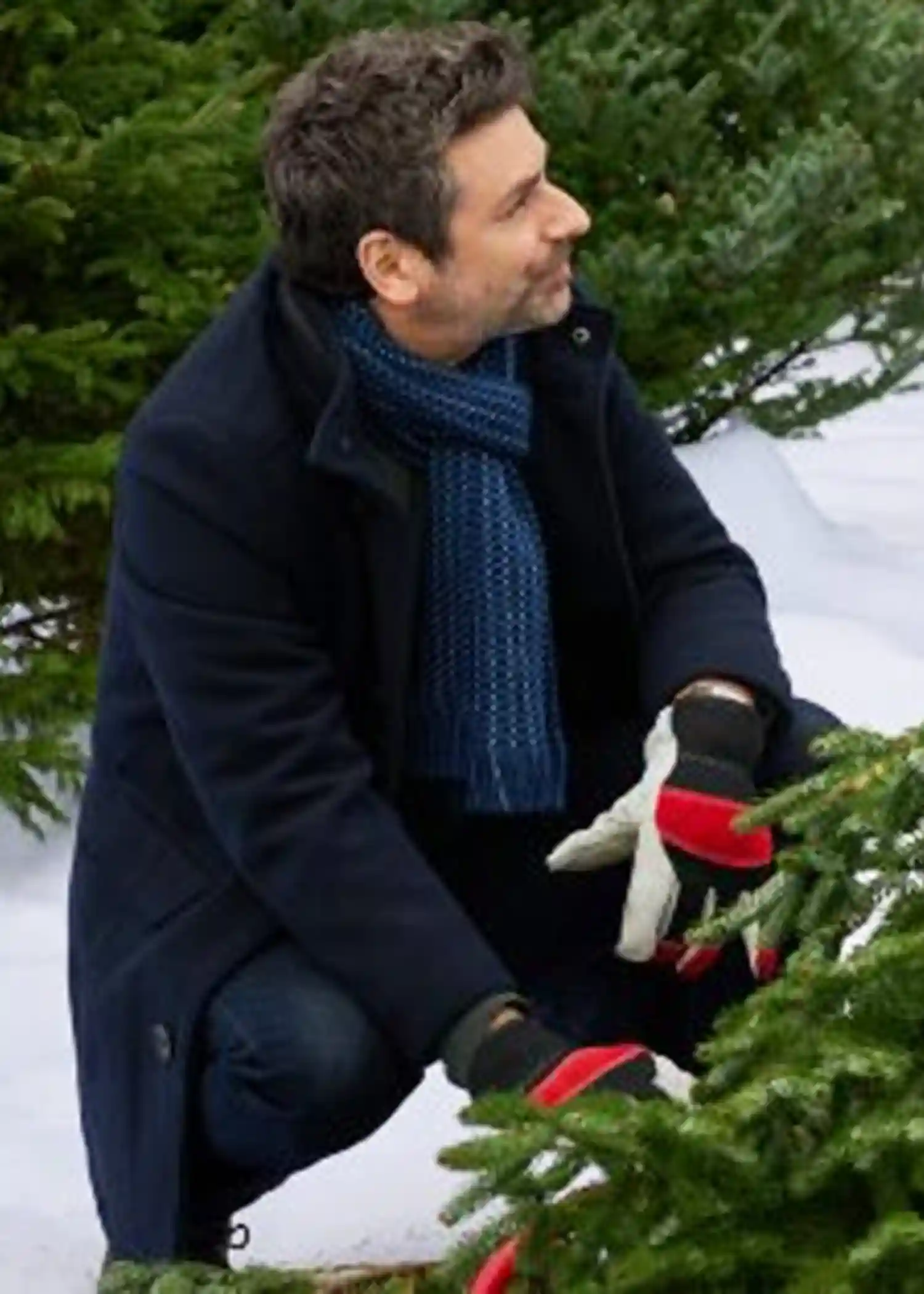 Daniel A Dance in the Snow Blue Coat Daniel A Dance in the Snow Blue Coat