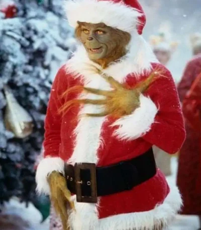 The Grinch Costume