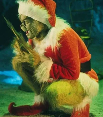 The Grinch Costume