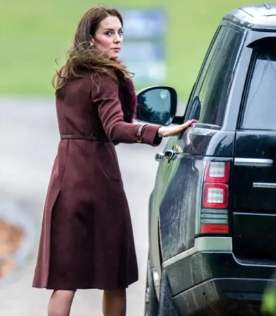 Hobbs Celeste Chestnut Brown Trench Coat