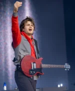 Stranger Things Joe Keery Outside Land Concert Vest
