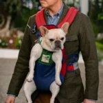 Bill Family Switch 2023 Green Blazer