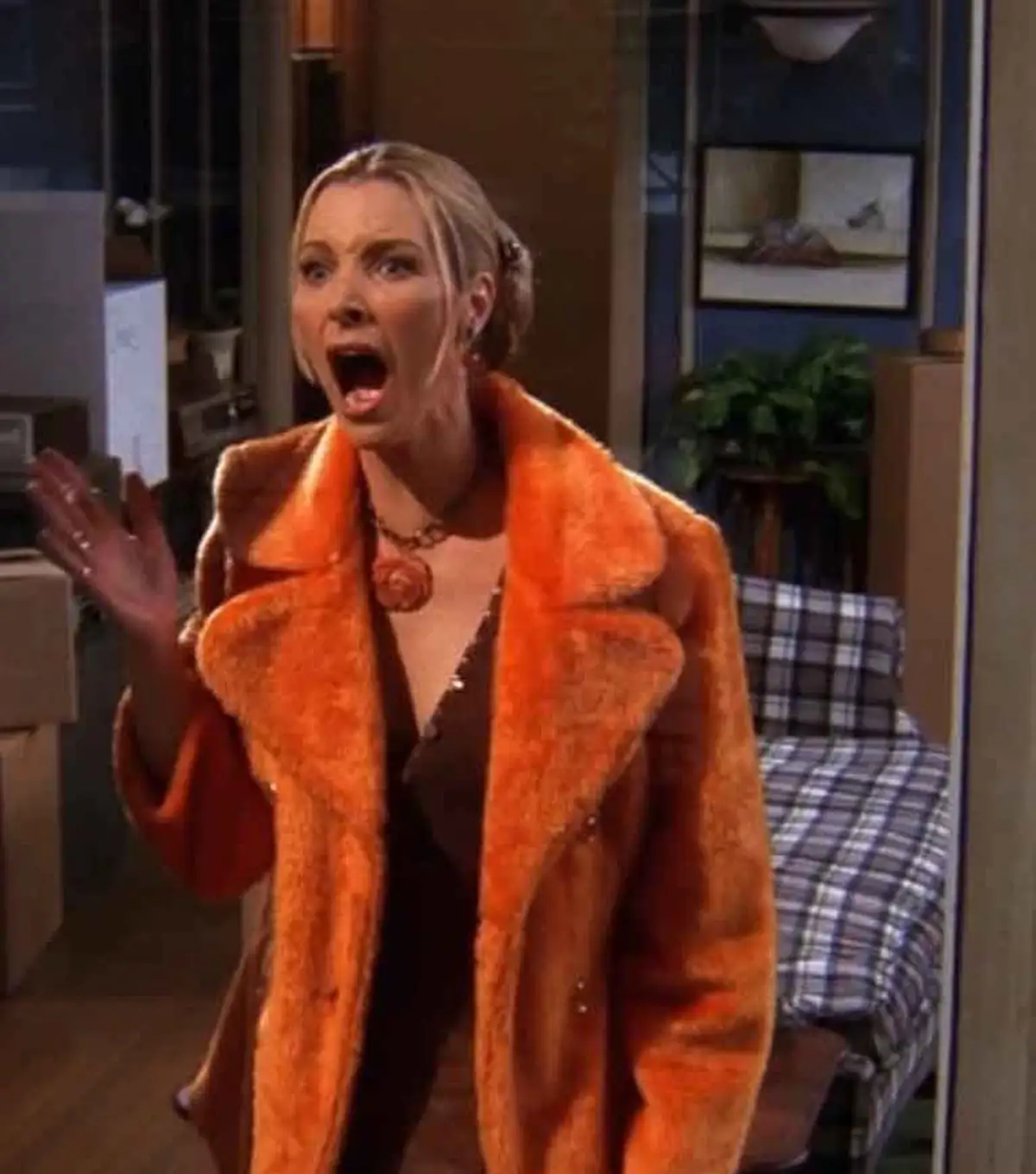 Friends Phoebe Buffay Orange Coat Friends Phoebe Buffay Orange Coat