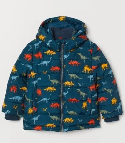 Ginny & Georgia S02 Austin Miller Dinosaur Puffer Jacket