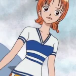 One Piece Nami Striped Shirt