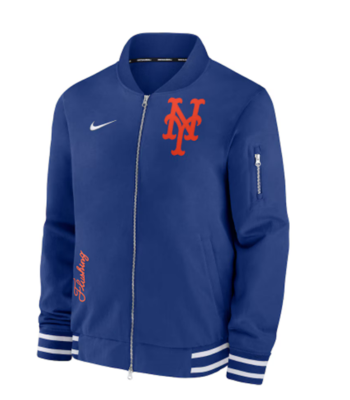 Stony Blyden Goosebumps S02 Blue Bomber Jacket