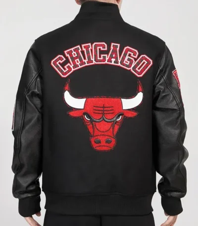 Animal Patches Chicago Bulls Varsity Jacket