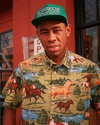 Tyler the Creator Hawaiian Shirt